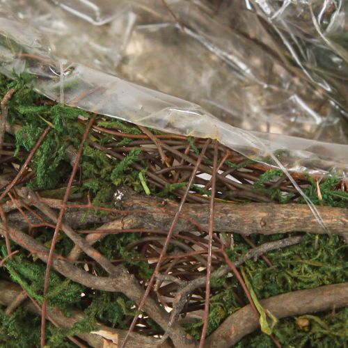 Product Plant Wave Vines Small Plant Bowl with Moss 31×15×7cm