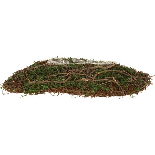 Product Plant Wave Vines Small Plant Bowl with Moss 31×15×7cm