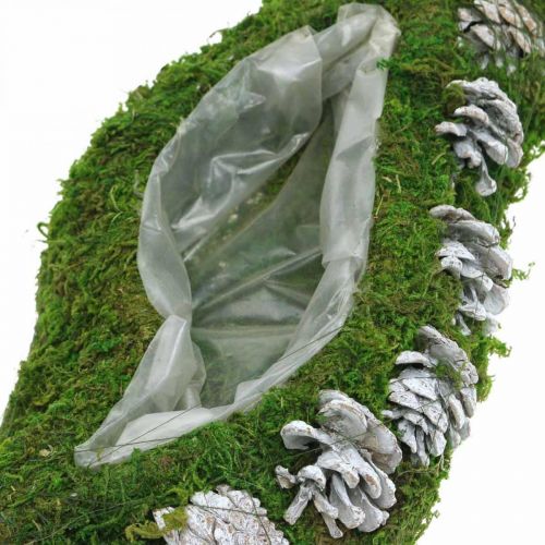 Product Planter moss and cones wave green, washed white 41 × 15cm