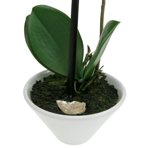 Product Phalaenopsis white in bowl flower decoration H38cm