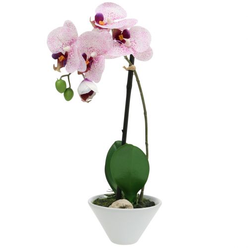 Floristik24 Artificial Phalaenopsis Purple-White in Cup H38cm