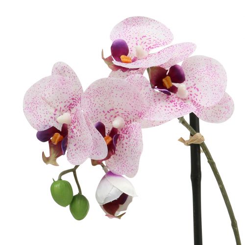 Product Artificial Phalaenopsis Purple-White in Cup H38cm
