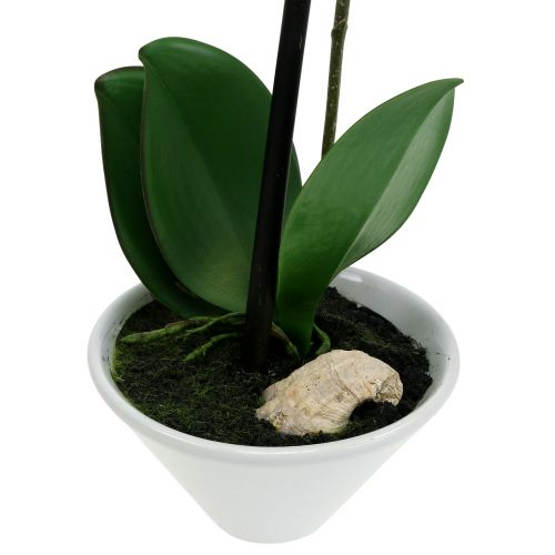 Floristik24 Artificial Phalaenopsis Purple-White in Cup H38cm