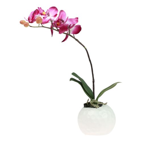 Floristik24 Artificial orchids in pot Phalaenopsis artificial flowers orchids pink 34cm