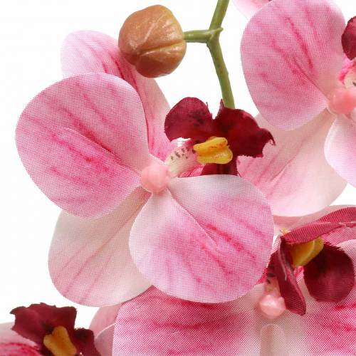 Product Artificial orchid branch Phaelaenopsis pink H49cm