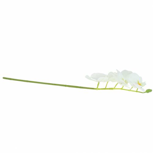 Floristik24 Artificial orchid branch Phaelaenopsis white H49cm
