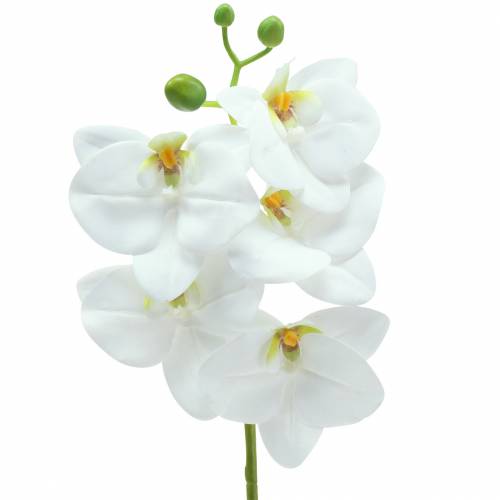 Floristik24 Artificial orchid branch Phaelaenopsis white H49cm