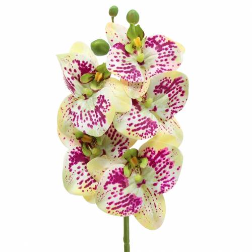 Product Artificial orchid branch Phaelaenopsis Green Pink H49cm