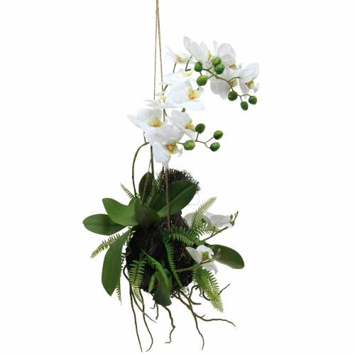 Orchid with fern and moss ball artificial white hanging 64cm