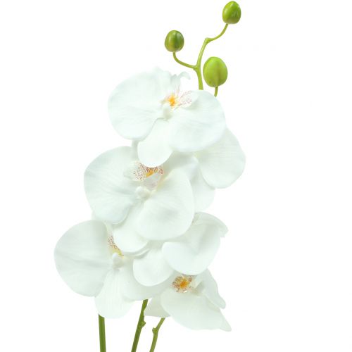 Floristik24 Orchid Phalaenopsis artificial white 80cm