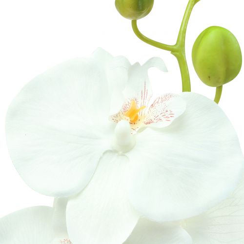 Product Orchid Phalaenopsis artificial white 80cm