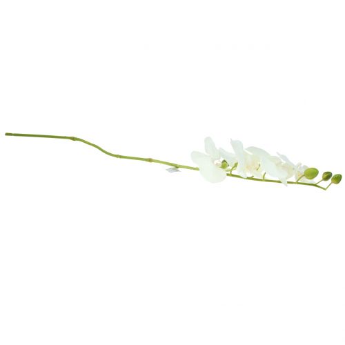Floristik24 Orchid Phalaenopsis artificial white 80cm