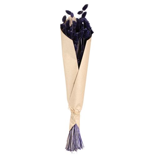 Product Phalaris Violet Dried Grasses Glossy Grass 50-55cm 100g