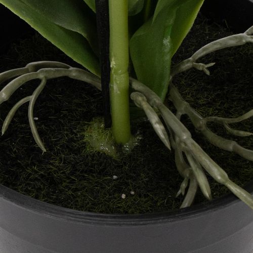 Product Artificial orchid plant, deceptively realistic, for office and living room decoration, 62cm