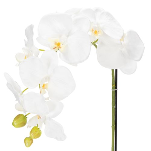 Product Artificial orchid plant, deceptively realistic, for office and living room decoration, 62cm