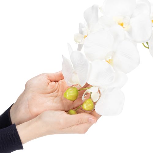Product Artificial orchid plant, deceptively realistic, for office and living room decoration, 62cm