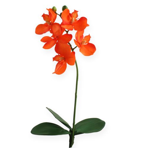 Floristik24 Artificial orchid with leaves orange 35cm