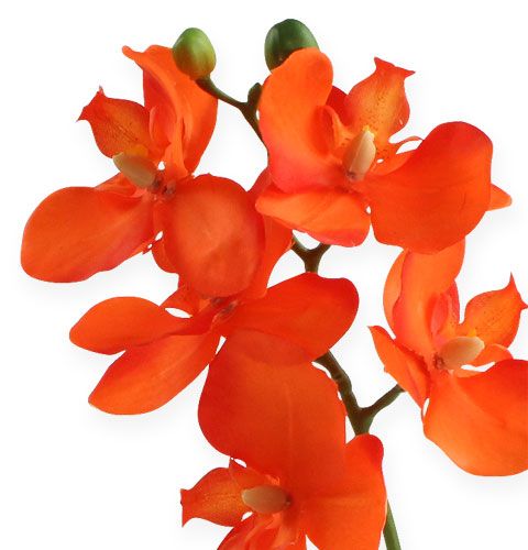 Product Artificial orchid with leaves orange 35cm