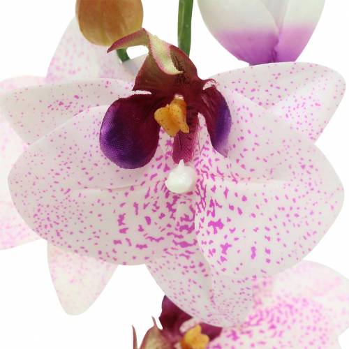 Product Artificial orchid phaleanopsis white, purple 43cm