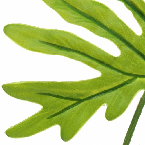 Product Philodendron Leaf Green 40cm