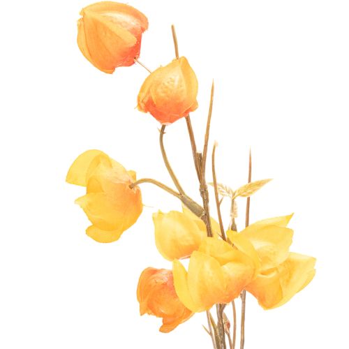 Artificial Physalis Branch with Flowers, 95 cm, Orange, for Indoor Decoration | Floristik24.co.uk