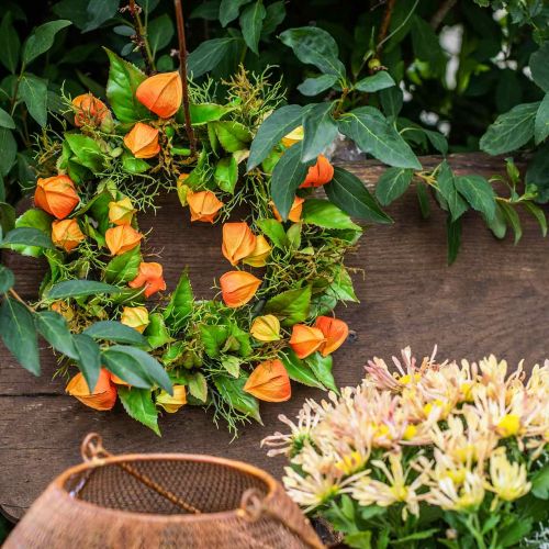 Product Physalis wreath artificial orange, green Ø28cm autumn decoration