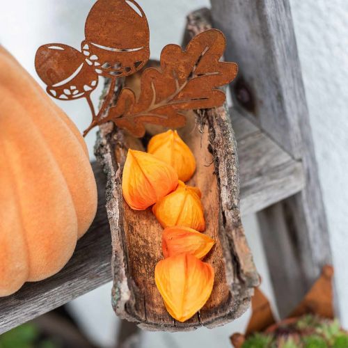 Floristik24 Physalis Orange Assorted 22 pcs Decorative Flower Heads Artificial