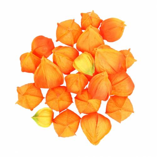 Floristik24 Physalis Orange Assorted 22 pcs Decorative Flower Heads Artificial