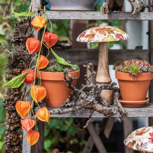 Floristik24 Physalis branch artificial orange 78cm