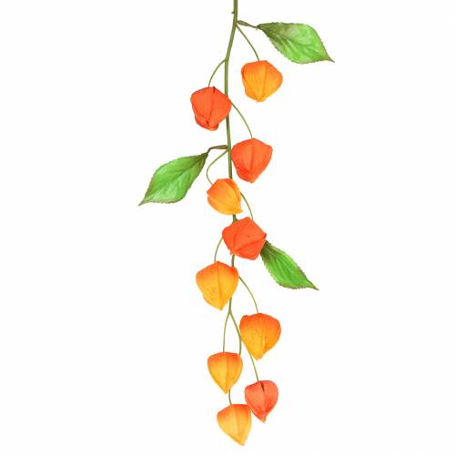 Floristik24 Physalis branch artificial orange 78cm