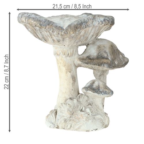 Product Mushroom decoration cast stone gray white washed 21.5×18×22cm