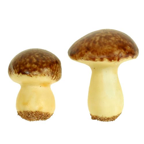 Floristik24 Mushroom Mix Brown 24pcs