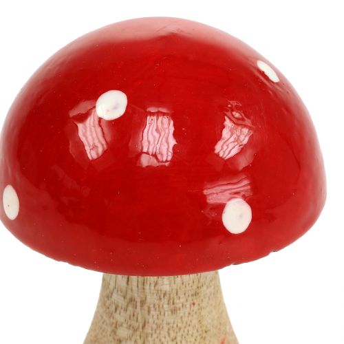 Floristik24 Toadstool made of red wood 11,5cm