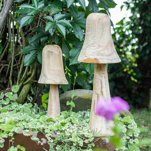 Product Mushroom pine wood Ø18cm H35cm