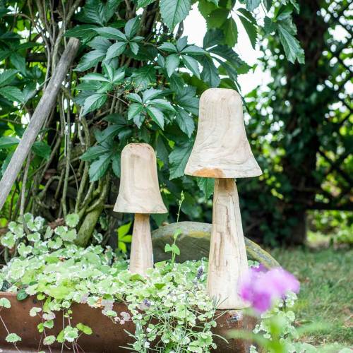 Product Mushroom pinewood Ø26cm H52cm