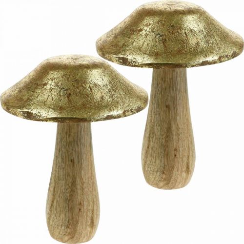 Floristik24 Mushroom mango wood gold, natural deco mushrooms large Ø12cm H15cm 2pcs