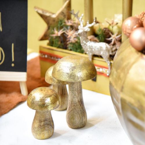 Floristik24 Mushroom mango wood gold, natural decorative mushroom Ø6cm H10cm 4pcs