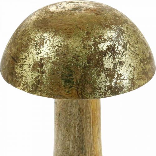 Floristik24 Mushroom mango wood gold, natural decorative mushroom Ø9cm H15.5cm 2pcs