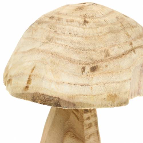 Floristik24 Mushroom paulownia wood Ø16cm H18cm