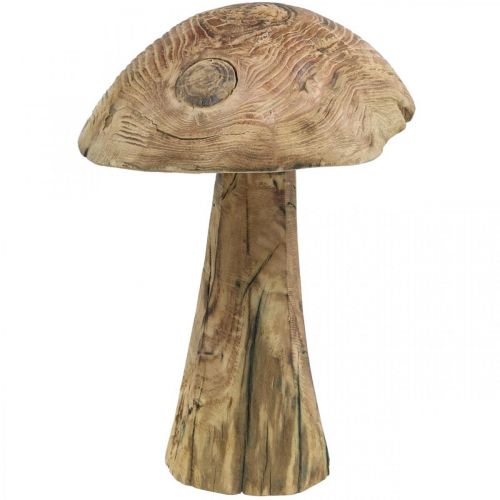 Floristik24 Mushroom, paulownia wood, autumn, wood decoration Ø18–20cm H28cm