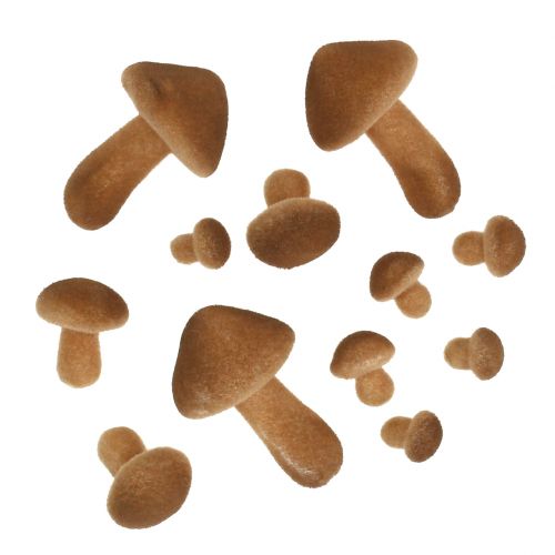 Floristik24 Mushrooms light brown mix 2cm - 8cm 12pcs