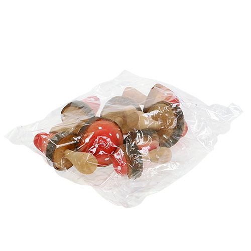 Floristik24 Wooden mushrooms mix 5.5cm - 8cm 8pcs