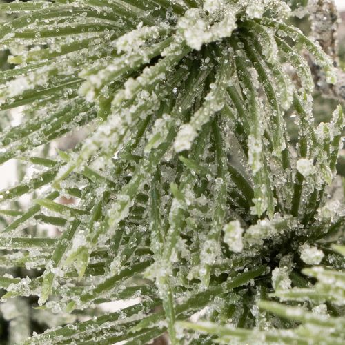 Artificial Pine Branch Set of 3 for Winter Decoration 55cm Green

```html
<h2>Artificial Pine Branch for Winter and Christmas Decoration</h2>

<p>The artificial pine branch set is a versatile addition to your seasonal home decorations. Each branch is 55 c | Floristik24.co.uk