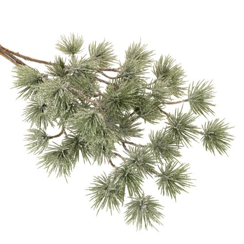 Artificial Pine Branch Set of 3 for Winter Decoration 55cm Green

```html
<h2>Artificial Pine Branch for Winter and Christmas Decoration</h2>

<p>The artificial pine branch set is a versatile addition to your seasonal home decorations. Each branch is 55 c | Floristik24.co.uk