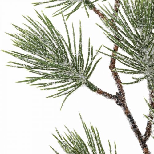 Floristik24 Christmas branches Pine branch Snowed 54cm 3pcs in bunch