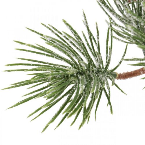 Floristik24 Christmas branches artificial pine branch snowed 30cm 6pcs