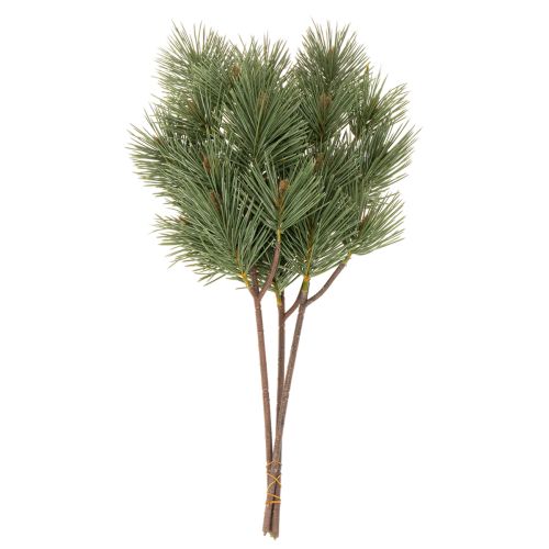 Artificial Pine Twig Set, 55cm, Pack of 3, Green

```html
<h2>Artificial Pine Twig for Festive Decoration</h2>

<p>
This artificial pine twig set includes three green branches, each 55cm long. Designed for indoor use, these plastic pine twigs bring a real | Floristik24.co.uk