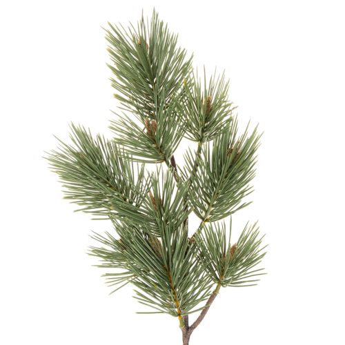 Artificial Pine Twig Set, 55cm, Pack of 3, Green

```html
<h2>Artificial Pine Twig for Festive Decoration</h2>

<p>
This artificial pine twig set includes three green branches, each 55cm long. Designed for indoor use, these plastic pine twigs bring a real | Floristik24.co.uk