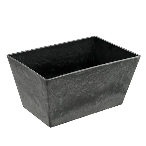 Floristik24 Square plastic bowl anthracite 20.5cm x 13.5cm H10.5cm