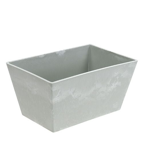 Floristik24 Square plastic bowl gray 20.5cm x 13.5cm H10.5cm